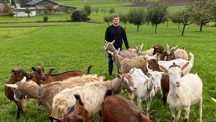 lpc-lieferanten-pascal-huber-stage