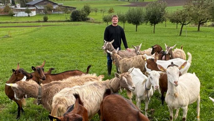 lpc-lieferanten-pascal-huber-stage