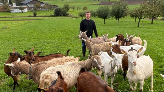 lpc-lieferanten-pascal-huber-stage